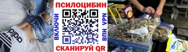 Псилоцибиновые грибы GOLDEN TEACHER  Сосновка 